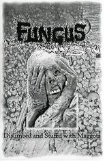 Fungus (POR) : Dislimbed and Stuffed With Maggots